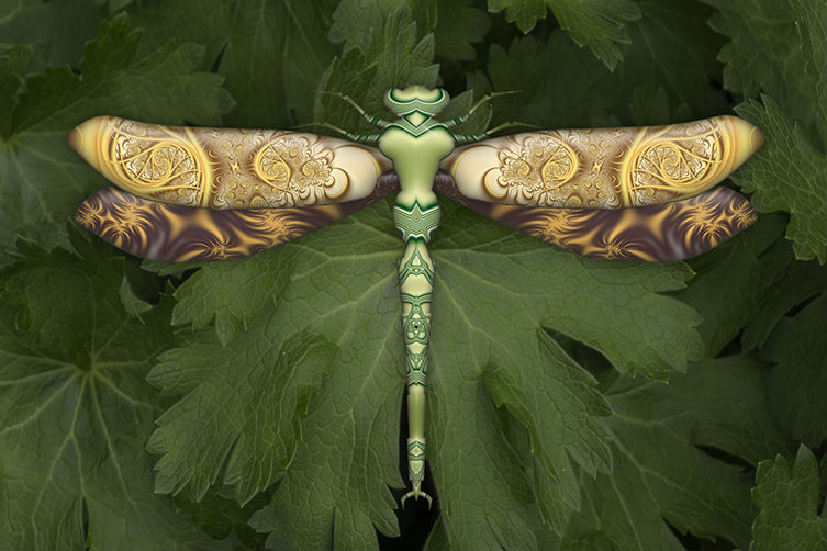 dragonflyer