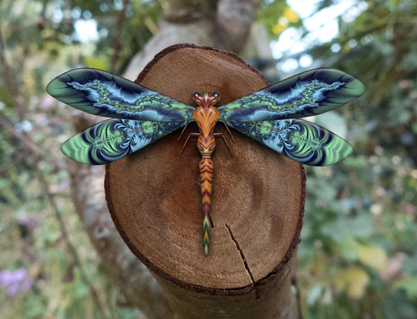 Dragonflyer
