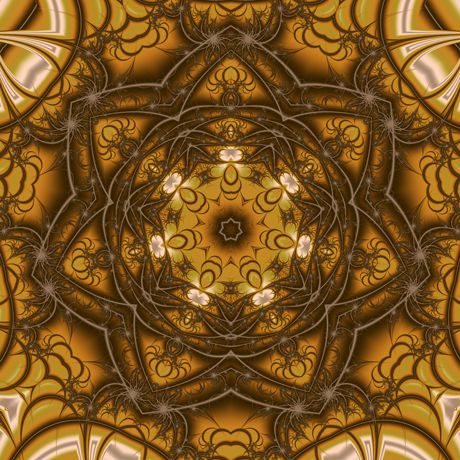 starfish